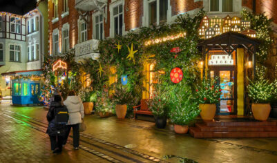 Новогодний Зеленоградск: прогулка по самому кошачьему городу России