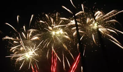 Жителям Москвы напомнили о штрафах за запуск петард в Новый год