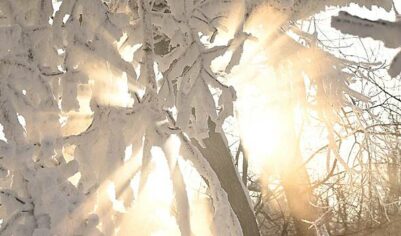 Январь в Москве занял третье место в списке самых влажных в XXI веке