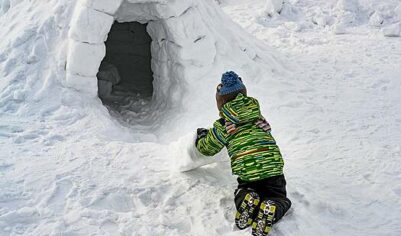 Москвичи решили построить иглу