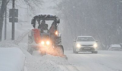 МГУ: уходящий январь в Москве стал самым снежным за 203 года