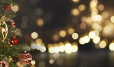 Как правильно выбрать ёлку на Новый год, на что обратить внимание при покупке ели