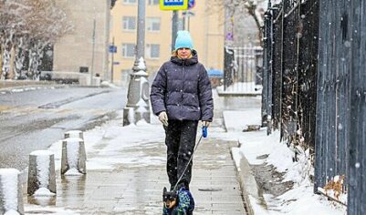 Оттепель ожидается в Москве с 28 февраля по 2 марта
