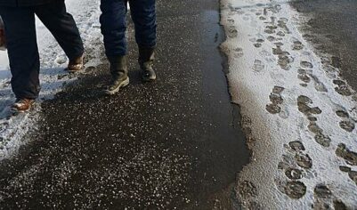 В Петербурге стали использовать больше соли