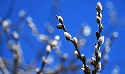 Москвичам назвали время прихода климатической весны