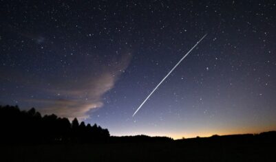 Свинцов: Россия сможет глушить сигнал Starlink для предотвращения угроз