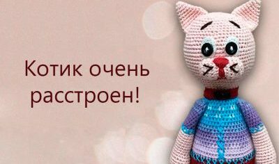Котик попрошайка