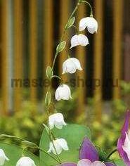 Цветы из капрона своими руками. Как сделать ландыши поэтапно