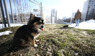 Москвичам рассказали, сколько простоит апрельская погода