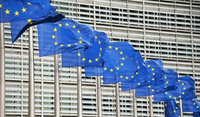 Война на Ближнем Востоке еще больше расколола ЕС