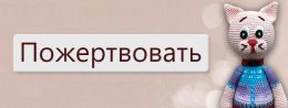Котик попрошайка1