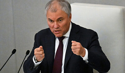 Володин: женщина должна сама принимать решение об аборте