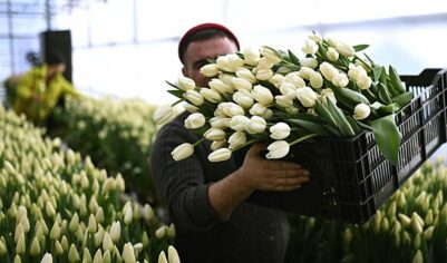 В России предложили ограничить цены на букеты к 8 Марта