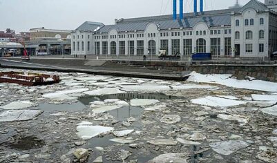 Синоптик Тишковец: Метеорологическая весна ждет москвичей с завтрашнего дня