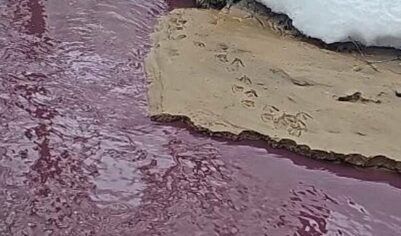 Прокуратура Москвы проверит загрязнение реки Сетунь в районе улицы Верейская